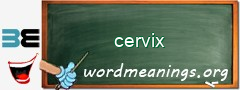 WordMeaning blackboard for cervix